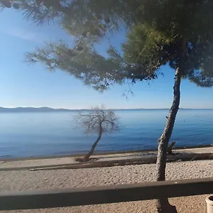 - Pine Diklo Apartament Zadar
